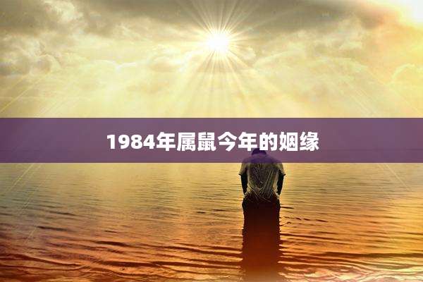 1984年属鼠今年的姻缘