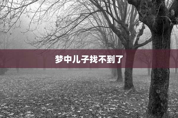 梦中儿子找不到了