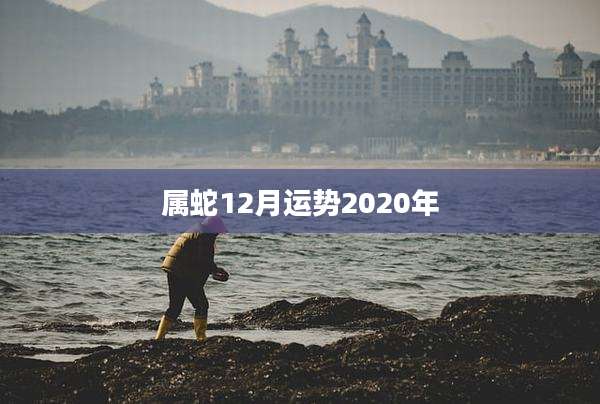 属蛇12月运势2020年