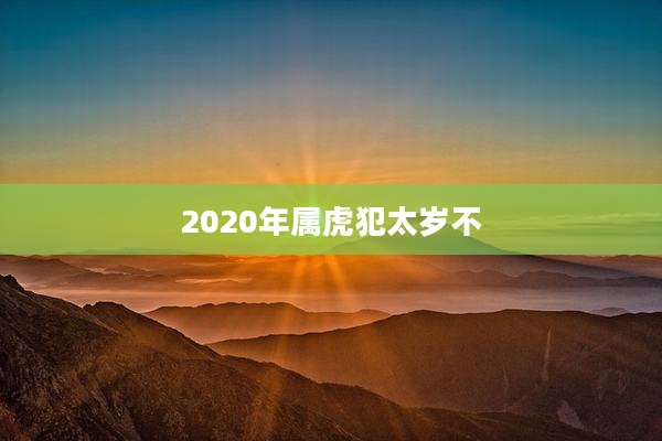 2020年属虎犯太岁不