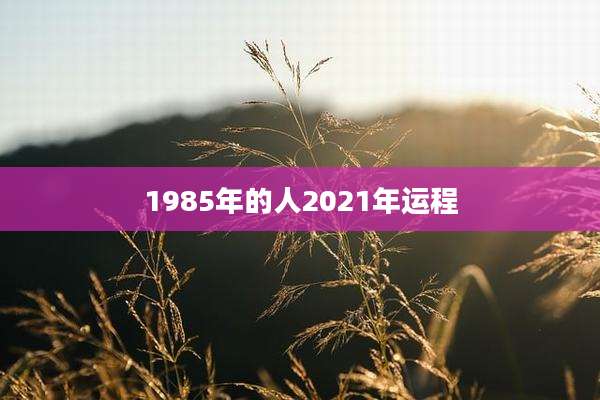 1985年的人2021年运程