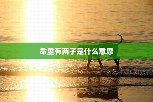 命里有两子是什么意思