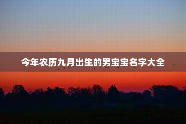 今年农历九月出生的男宝宝名字大全