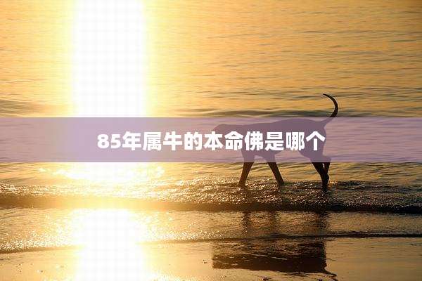 85年属牛的本命佛是哪个