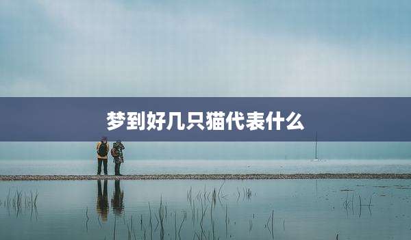 梦到好几只猫代表什么