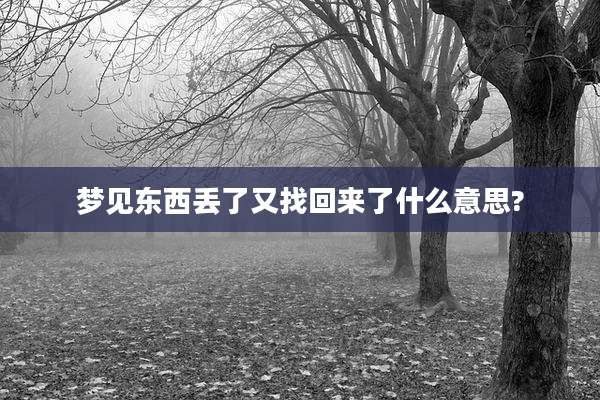 梦见东西丢了又找回来了什么意思?