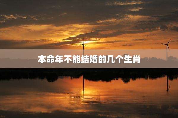 本命年不能结婚的几个生肖