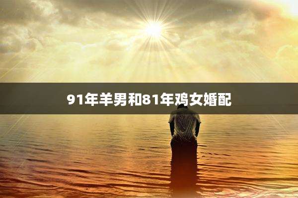 91年羊男和81年鸡女婚配