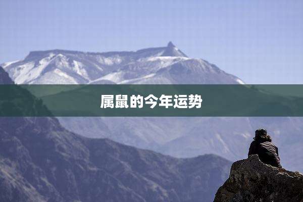 属鼠的今年运势