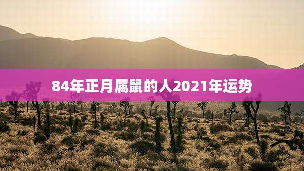 84年正月属鼠的人2021年运势