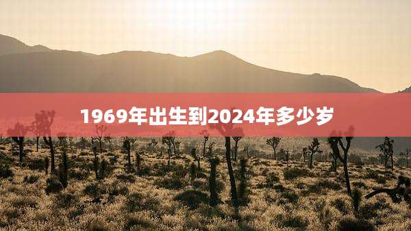 1969年出生到2024年多少岁