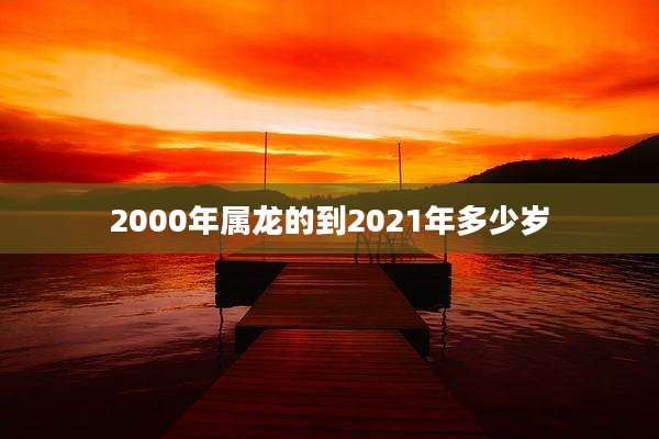 2000年属龙的到2021年多少岁