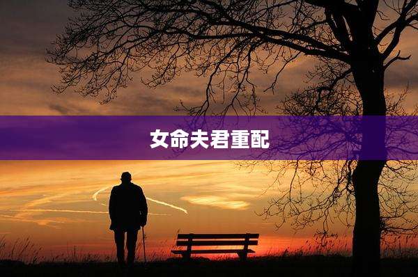 女命夫君重配