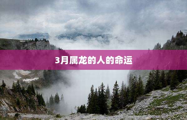3月属龙的人的命运