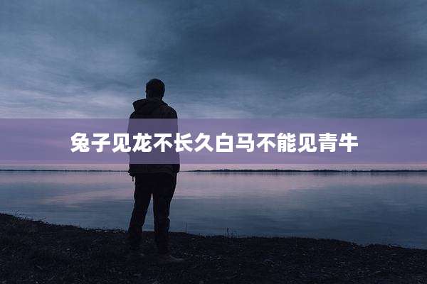 兔子见龙不长久白马不能见青牛