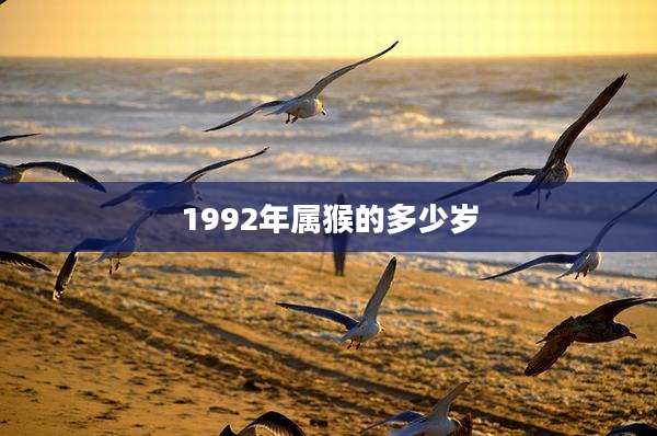 1992年属猴的多少岁