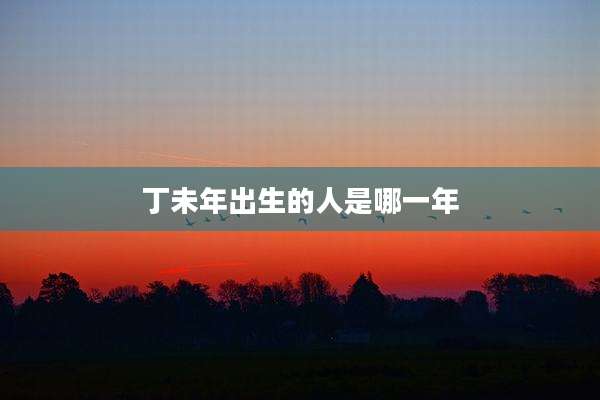 丁未年出生的人是哪一年