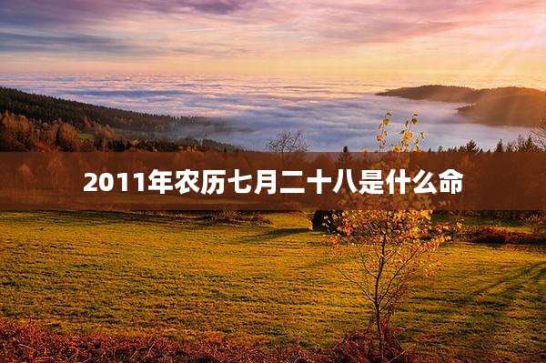 2011年农历七月二十八是什么命