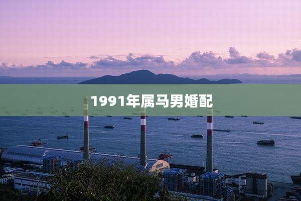 1991年属马男婚配