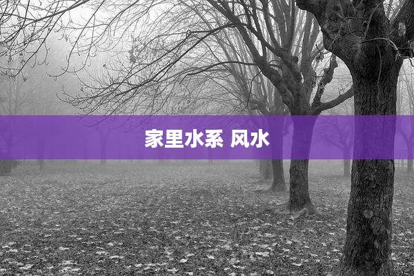 家里水系 风水
