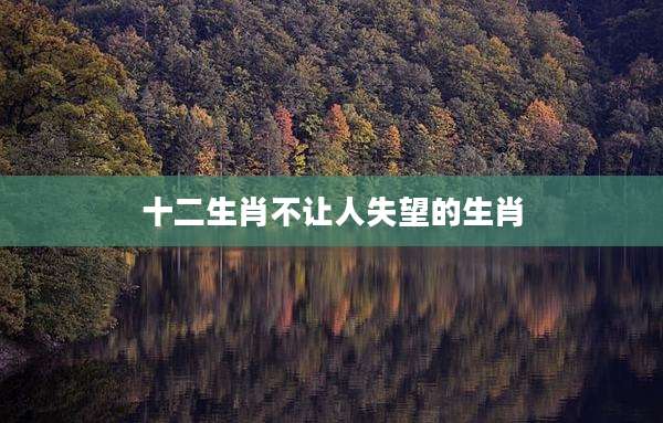 十二生肖不让人失望的生肖