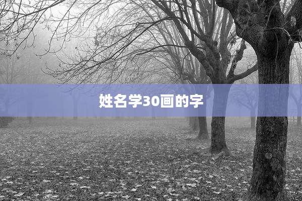 姓名学30画的字