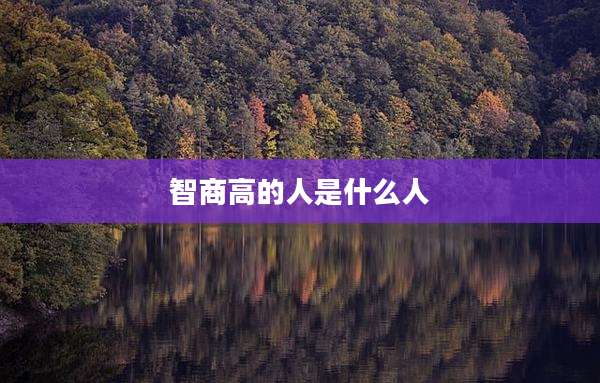 智商高的人是什么人