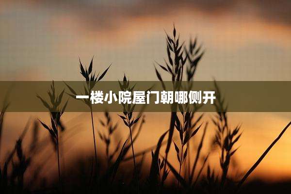 一楼小院屋门朝哪侧开