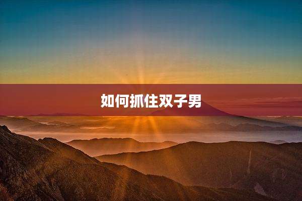 如何抓住双子男