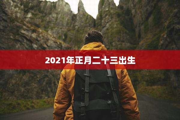 2021年正月二十三出生