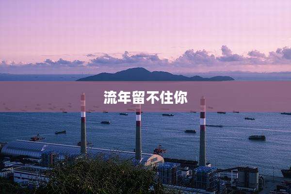 流年留不住你