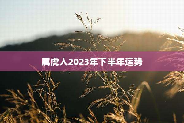 属虎人2023年下半年运势