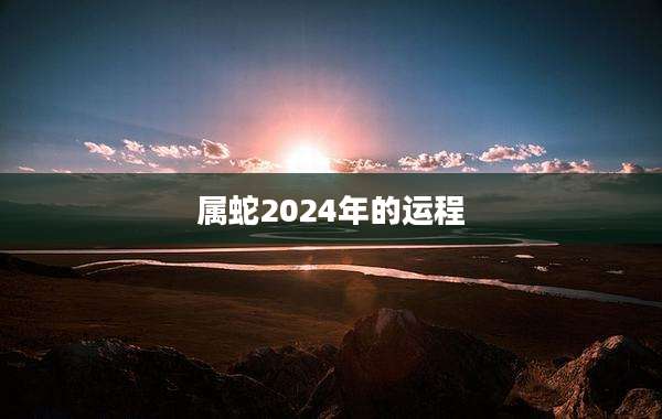 属蛇2024年的运程
