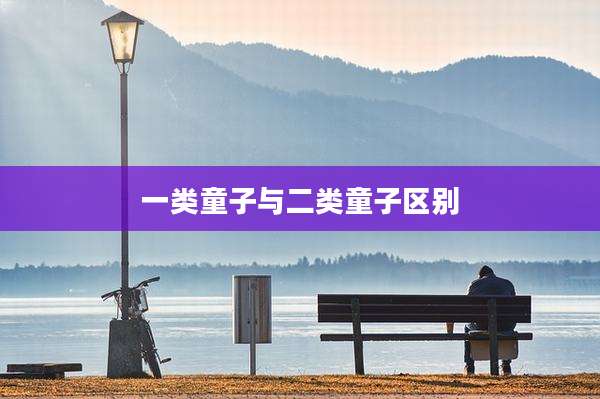 一类童子与二类童子区别