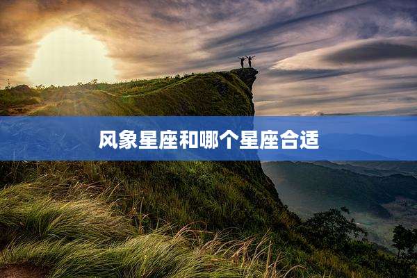 风象星座和哪个星座合适
