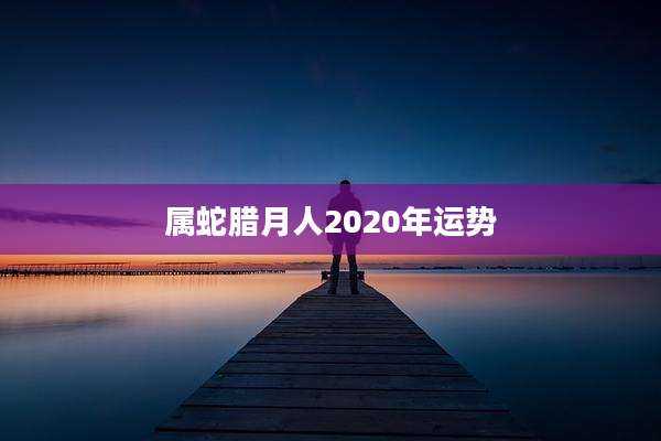 属蛇腊月人2020年运势