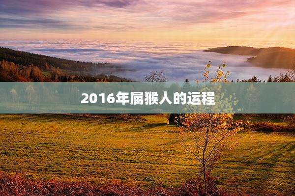 2016年属猴人的运程