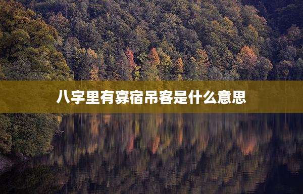 八字里有寡宿吊客是什么意思