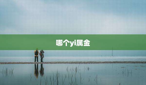 哪个yi属金