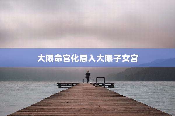 大限命宫化忌入大限子女宫