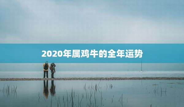 2020年属鸡牛的全年运势