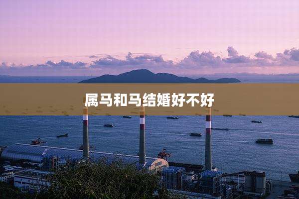 属马和马结婚好不好