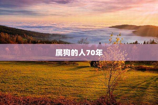 属狗的人70年