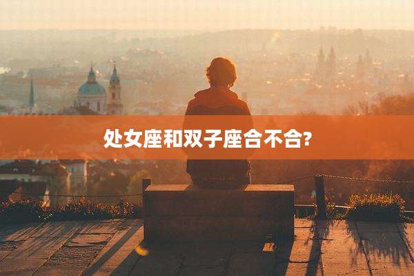 处女座和双子座合不合?