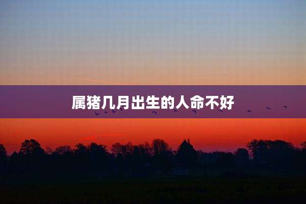 属猪几月出生的人命不好