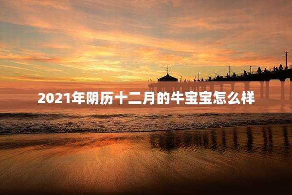2021年阴历十二月的牛宝宝怎么样