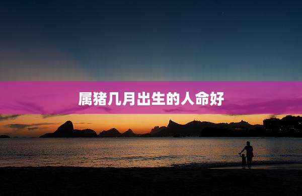 属猪几月出生的人命好