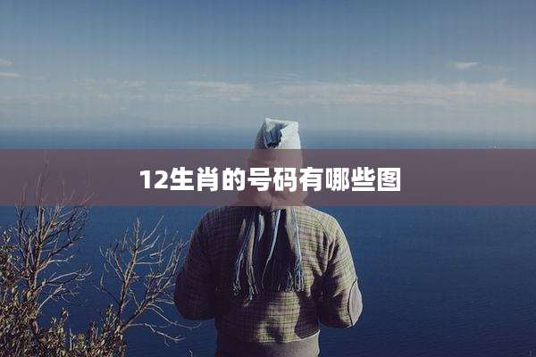 12生肖的号码有哪些图