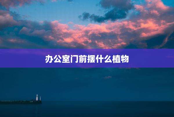 办公室门前摆什么植物
