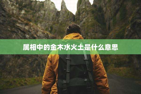 属相中的金木水火土是什么意思